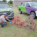 Ambiente traslada más de 35 aves rescatadas del tráfico al Centro de Conservación de Vida Silvestre en San Luis