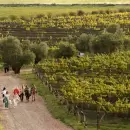 Bodegas en alerta: cómo buscan atraer nuevamente a los turistas