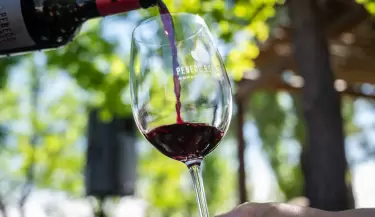 vino