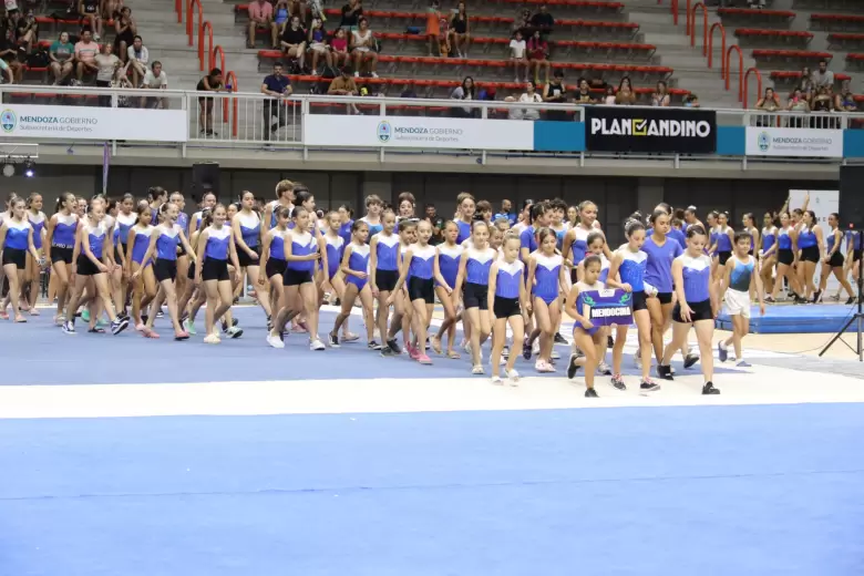 gimnasia artistica