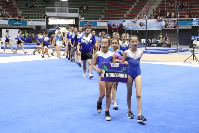 gimnasia artistica