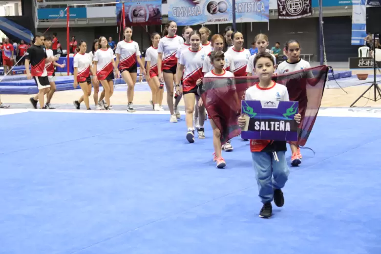 gimnasia artistica