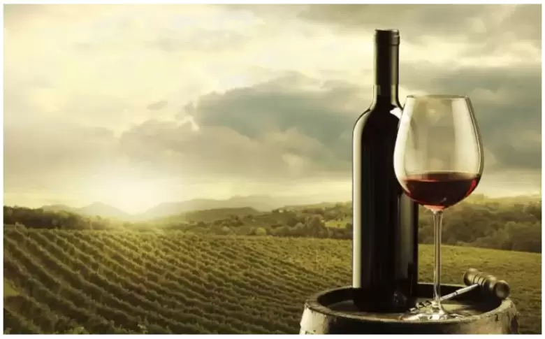 vino mendocino