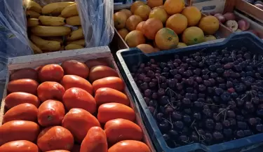 Frutas y verduras, de lo m�s elegido y buscado