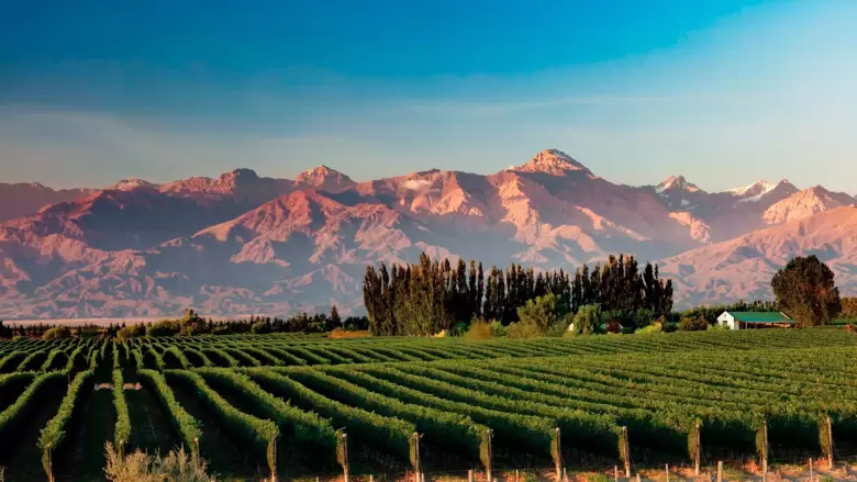 Vacaciones en Mendoza