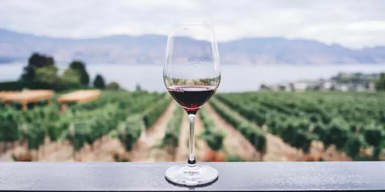 Visitar bodegas en Mendoza