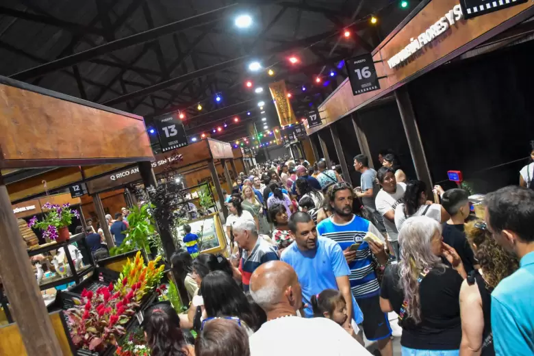 mercado