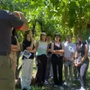Vendimia San Rafael: las representantes distritales comenzaron las capacitaciones