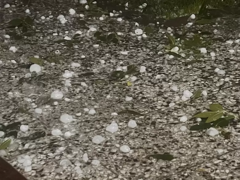 Tormenta de granizo en San Mart�n - 17-12-24