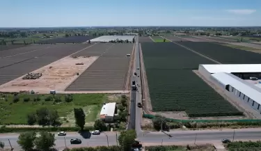 Calle Nueva