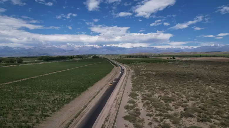 Ruta del vino camino