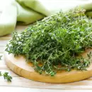 Tomillo: mucho más que un sabor, descubrí sus increíbles beneficios para la salud