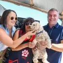 Entragaron más de 900 kilos de alimento al refugio “Ángeles de cuatro patas”