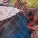 Indignación: Un hombre fue detenido por asesinar a su perra a mazazos y quedar filmado