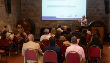Innovaci�n