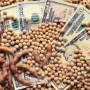 El campo argentino liquid� m�s de u$s25.000 millones en 2024: claves del r�cord en divisas