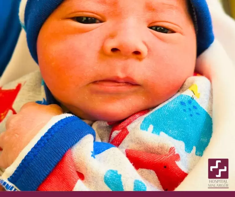 bebe 2025 2