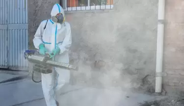 dengue