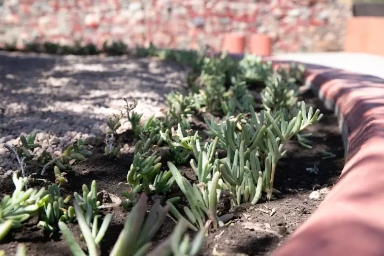 jardines