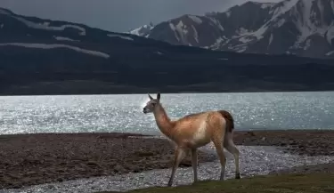 laguna-del-diamante