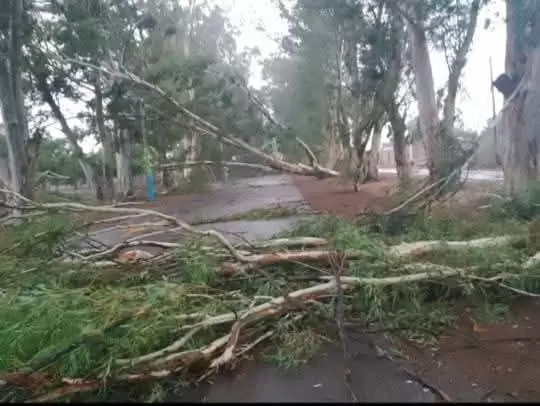 tormenta