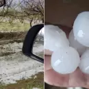 (En fotos) Una feroz tormenta con granizo causó graves daños en La Paz: "Más de 100 árboles caídos"