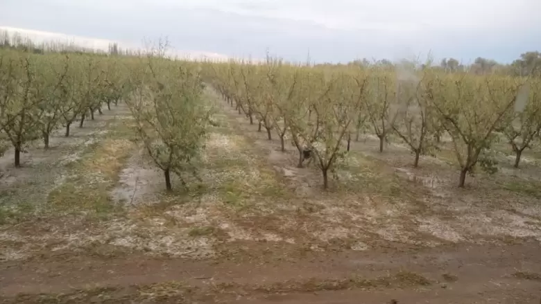 san rafael tormenta