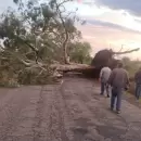 Fen�meno devastador: El concejo deliberante declar� la emergencia clim�tica en San Rafael