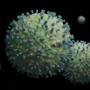 Qu� es el metapneumovirus humano (HMPV) y c�mo est� colapsando los hospitales en China