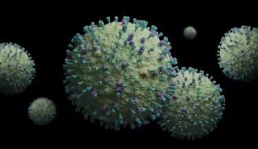 metapneumovirus humano