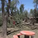 (Imágenes y video) Así fueron los trabajos en las zonas de San Rafael más afectadas por la tormenta