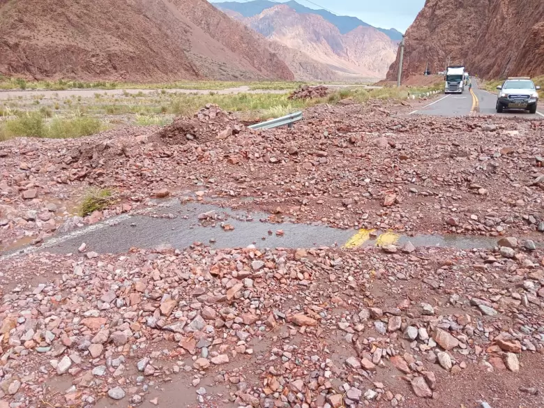 ruta 7