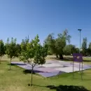 Dos nuevas canchas de p�del se construir�n en el Parque San Vicente de Godoy Cruz