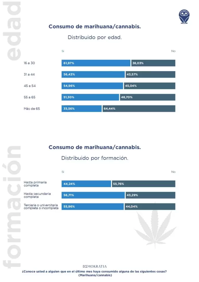 cannabis encuesta