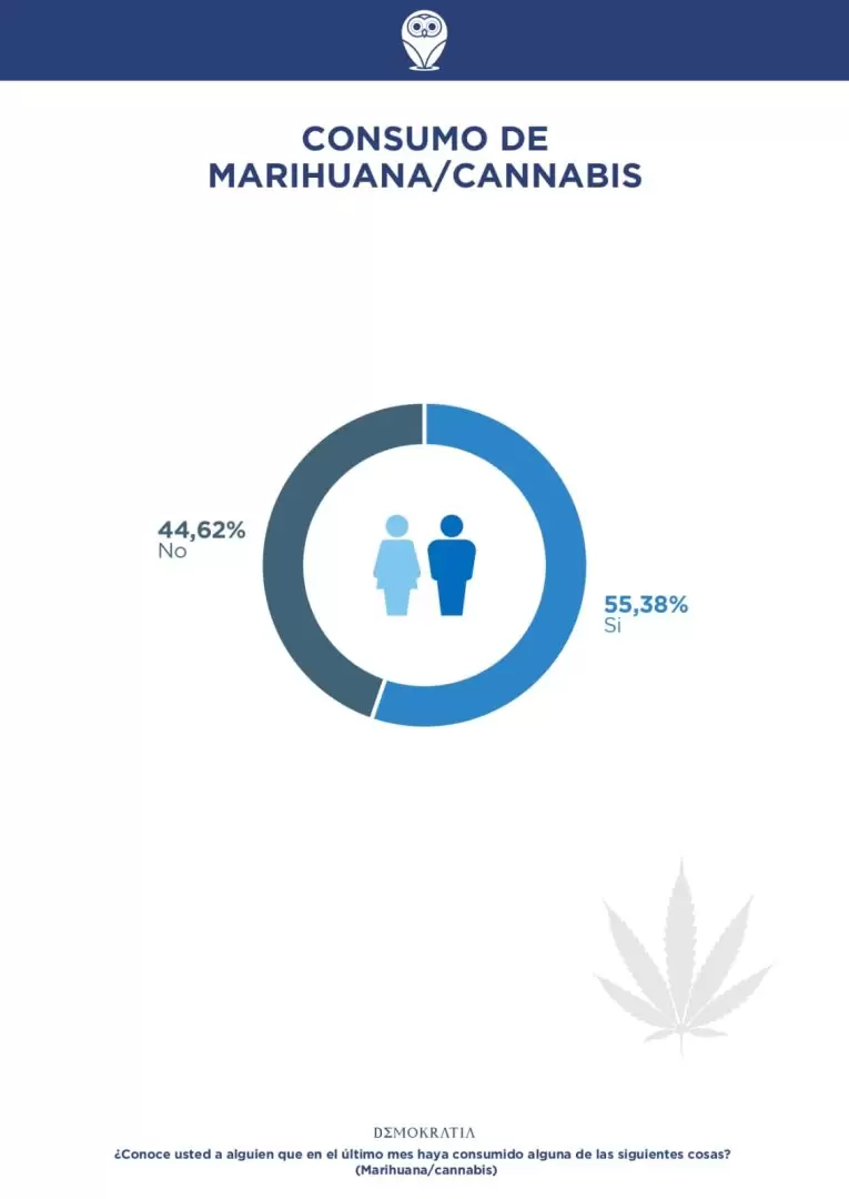 cannabis encuesta