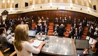hororable-camara-de-senadores-juramento-16