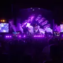 El Festival del Malbec y el Olivo crece en Maip�: Confirmaron que tendr� m�s noches