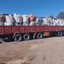 Mendoza recicl� m�s de 129 toneladas de envases de agroqu�micos en 2024