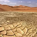 El cambio climático amenaza la agricultura: Cómo adaptarse a esta nueva realidad