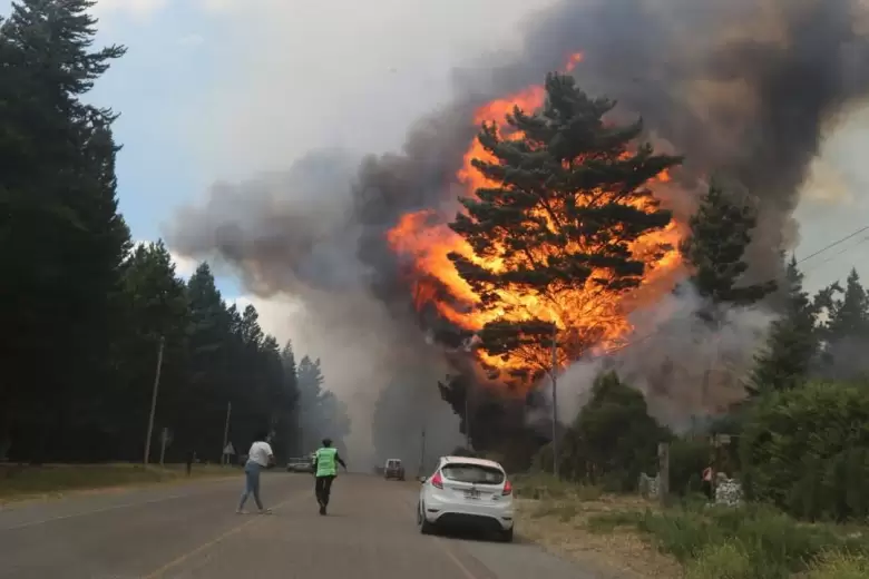 Alerta por incendio forestal en Epuy�n, Chubut