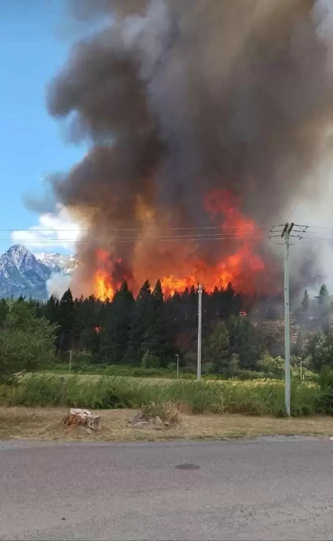 Alerta por incendio forestal en Epuy�n, Chubut