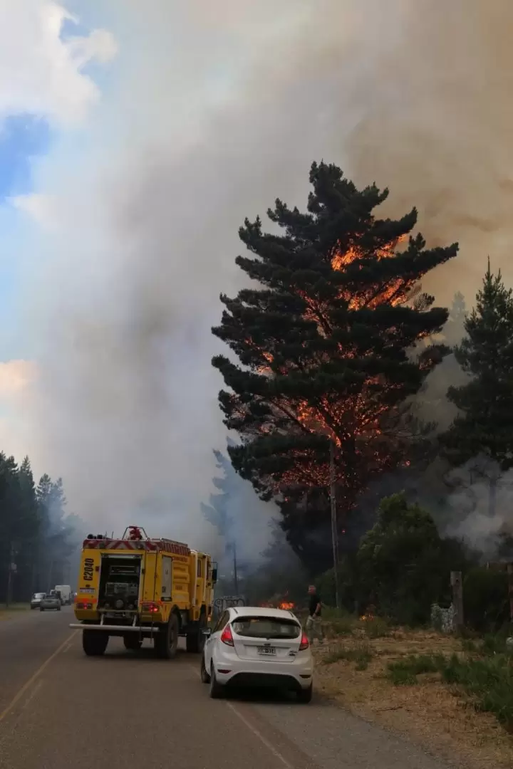 Incendio forestal en Chubut