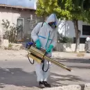 Salud e Iscamen refuerzan las acciones de control vectorial del dengue