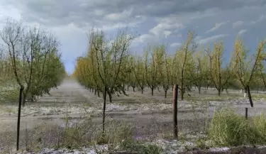 Emergencia agropecuaria