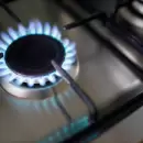 Habr� aumentos de hasta 105% en Mendoza si se quita la zona fr�a
