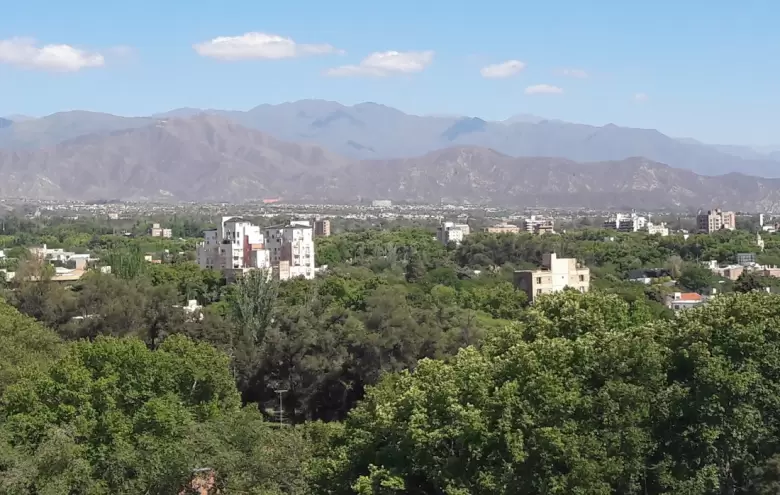 El arbolado de Mendoza en peligro
