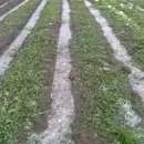 Volv� a escuchar los temas m�s importantes de Estaci�n Zafiro