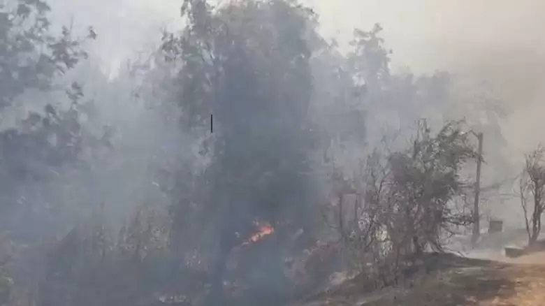 INCENDIO CHILE
