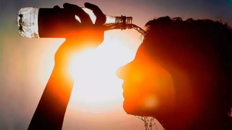 Ola de calor