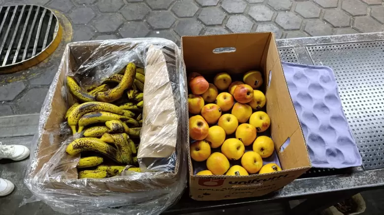 Senasa: Decomisaron más de 2 toneladas de productos en el Paso Cristo Redentor